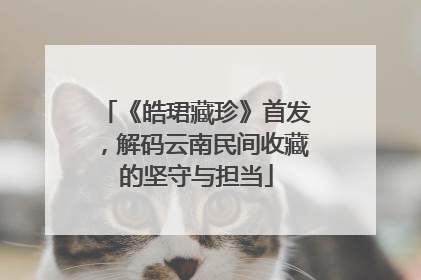《皓珺藏珍》首发，解码云南民间收藏的坚守与担当