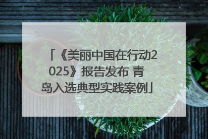 《美丽中国在行动2025》报告发布 青岛入选典型实践案例