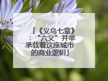 《义乌七章》：“六义”并举承载着这座城市的商业逻辑