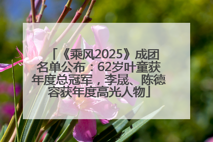 《乘风2025》成团名单公布：62岁叶童获年度总冠军，李晟、陈德容获年度高光人物