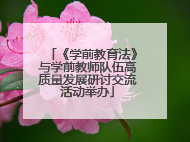 《学前教育法》与学前教师队伍高质量发展研讨交流活动举办