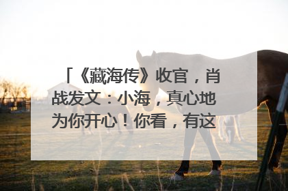 《藏海传》收官，肖战发文：小海，真心地为你开心！你看，有这么多人懂你！