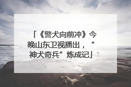 《警犬向前冲》今晚山东卫视播出，“神犬奇兵”炼成记