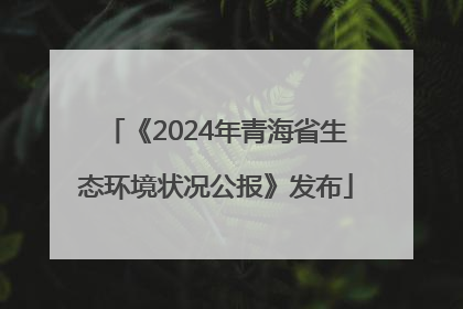 《2024年青海省生态环境状况公报》发布