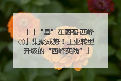 「“县”在图强·西峰①」集聚成势！工业转型升级的“西峰实践”