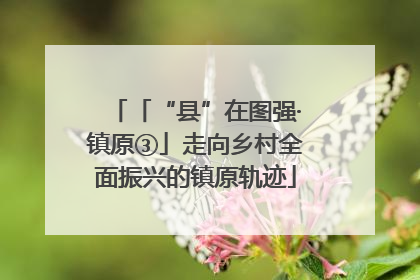 「“县”在图强·镇原③」走向乡村全面振兴的镇原轨迹