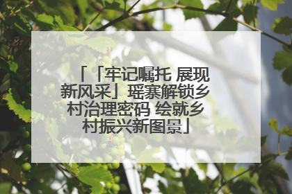 「牢记嘱托 展现新风采」瑶寨解锁乡村治理密码 绘就乡村振兴新图景
