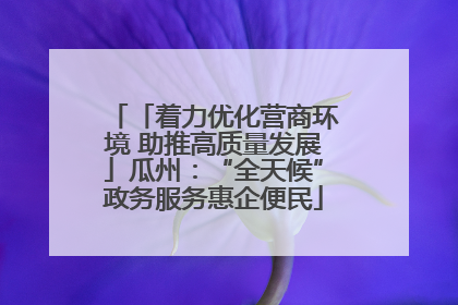 「着力优化营商环境 助推高质量发展」瓜州：“全天候”政务服务惠企便民