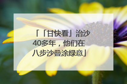 「甘快看」治沙40多年，他们在八步沙叠涂绿意
