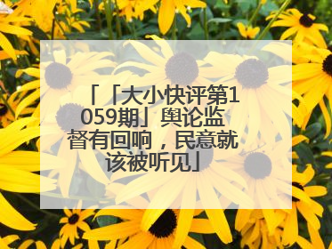 「大小快评第1059期」舆论监督有回响，民意就该被听见