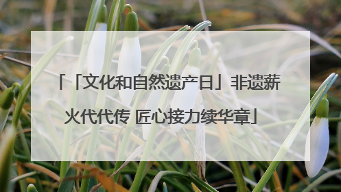 「文化和自然遗产日」非遗薪火代代传 匠心接力续华章