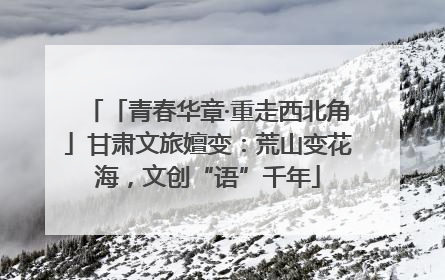 「青春华章·重走西北角」甘肃文旅嬗变：荒山变花海，文创“语”千年