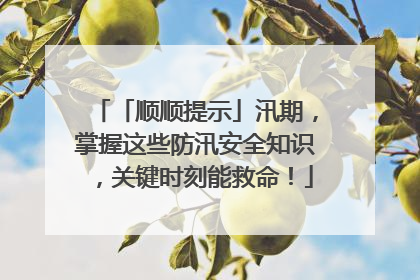 「顺顺提示」汛期，掌握这些防汛安全知识，关键时刻能救命！