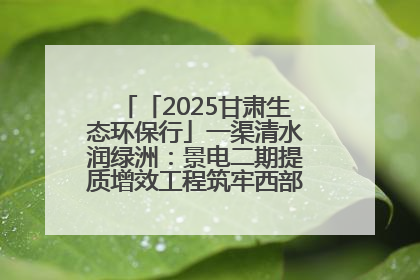 「2025甘肃生态环保行」一渠清水润绿洲：景电二期提质增效工程筑牢西部生态安全屏障