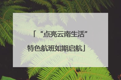 “点亮云南生活”特色航班如期启航