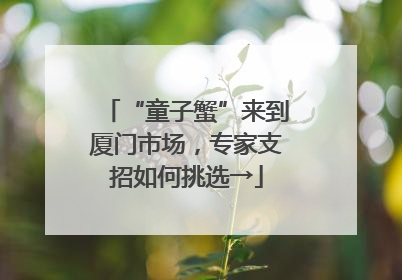 “童子蟹”来到厦门市场，专家支招如何挑选→
