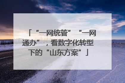 “一网统管”“一网通办”，看数字化转型下的“山东方案”