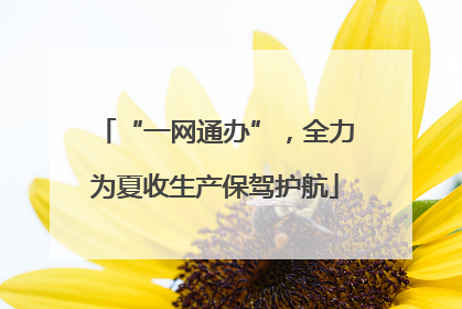“一网通办”，全力为夏收生产保驾护航