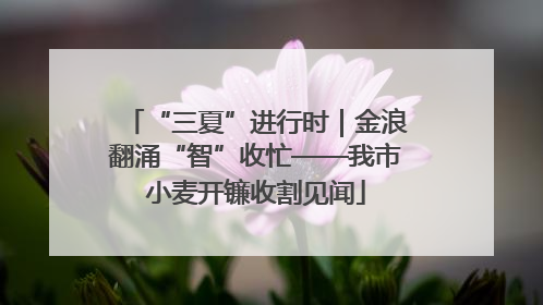 “三夏”进行时｜金浪翻涌“智”收忙——我市小麦开镰收割见闻