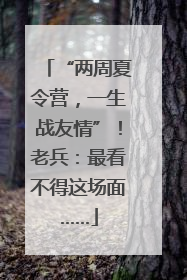 “两周夏令营，一生战友情”！老兵：最看不得这场面……