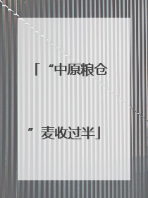“中原粮仓”麦收过半