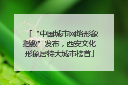 “中国城市网络形象指数”发布，西安文化形象居特大城市榜首