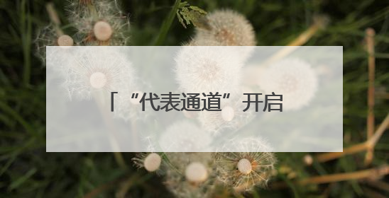 “代表通道”开启，8位市人大代表聚焦这些热点话题