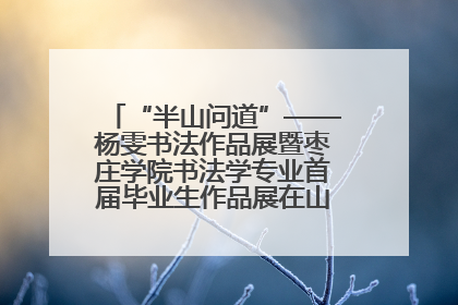 “半山问道”——杨雯书法作品展暨枣庄学院书法学专业首届毕业生作品展在山东省文化馆开幕