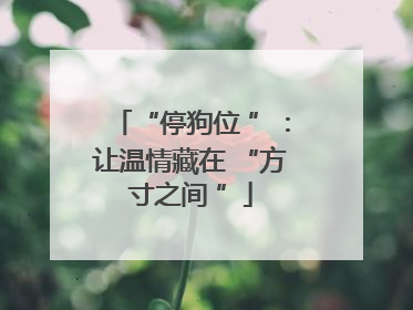 “停狗位 ”：让温情藏在 “方寸之间 ”