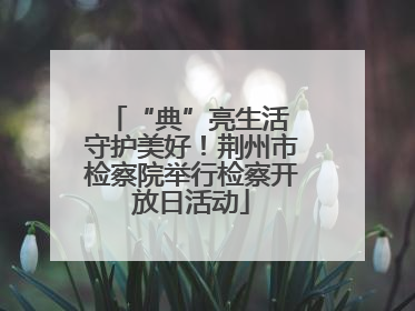 “典”亮生活 守护美好！荆州市检察院举行检察开放日活动