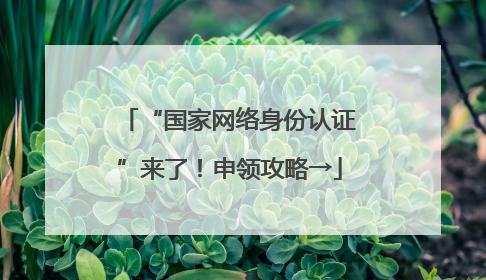 “国家网络身份认证”来了！申领攻略→