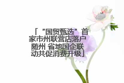 “国贸甄选”首家市州联营店落户随州 省地国企联动共促消费升级