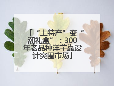 “土特产”变“潮礼盒”：300年老品种洋芋靠设计突围市场