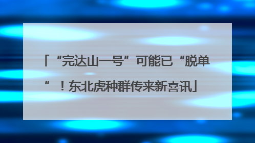 “完达山一号”可能已“脱单”！东北虎种群传来新喜讯