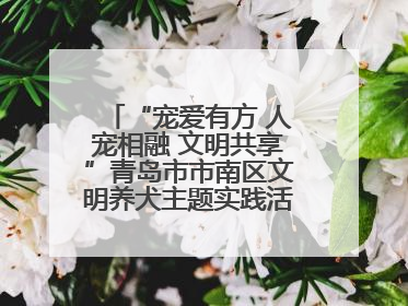 “宠爱有方 人宠相融 文明共享”青岛市市南区文明养犬主题实践活动举办