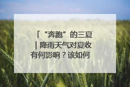 “奔跑”的三夏｜降雨天气对夏收有何影响？该如何防范？一文了解