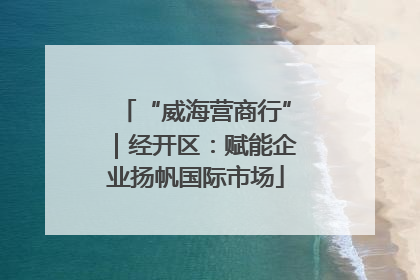“威海营商行”｜经开区：赋能企业扬帆国际市场