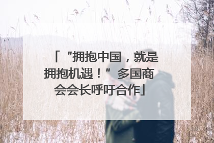 “拥抱中国，就是拥抱机遇！”多国商会会长呼吁合作