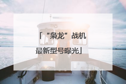 “枭龙”战机最新型号曝光