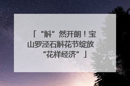 “斛”然开朗！宝山罗泾石斛花节绽放“花样经济”