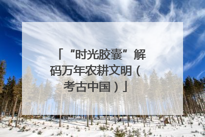 “时光胶囊”解码万年农耕文明（考古中国）