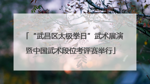 “武昌区太极拳日”武术展演暨中国武术段位考评赛举行