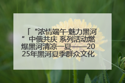 “浓情端午·魅力黑河”中俄共庆 系列活动燃爆黑河清凉一夏——2025年黑河夏季群众文化活动启幕 多元文化赋能边境文旅新高地
