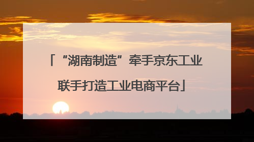 “湖南制造”牵手京东工业 联手打造工业电商平台