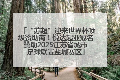 “苏超”迎来世界杯顶级赞助商！悦达起亚冠名赞助2025江苏省城市足球联赛盐城赛区