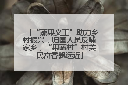 “蔬果义工”助力乡村振兴，归国人员反哺家乡，“果蔬村”村美民富香飘远近
