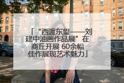 “西渡东望——刘建中油画作品展”在商丘开展 60余幅佳作展现艺术魅力