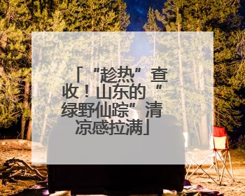 “趁热”查收！山东的“绿野仙踪”清凉感拉满
