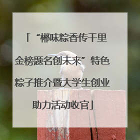 “郴味粽香传千里 金榜题名创未来”特色粽子推介暨大学生创业助力活动收官