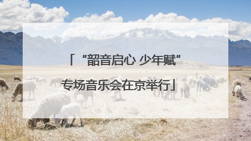“韶音启心 少年赋”专场音乐会在京举行